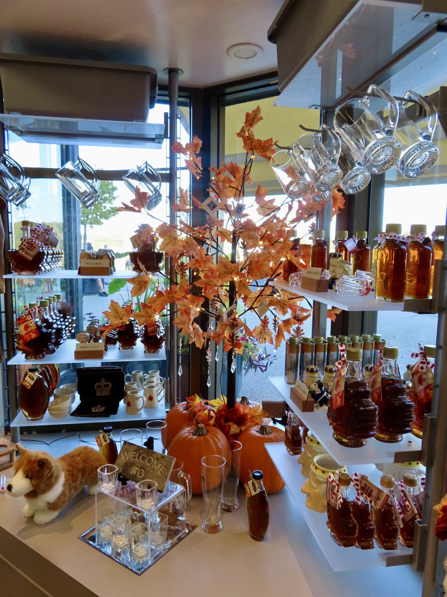 Maple Syrup Experience